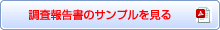 調査結果報告書のサンプルを見る