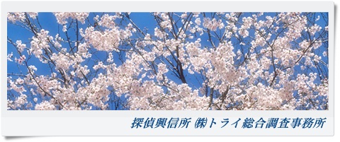 トライ総合調査事務所 大阪府 高槻市の風景写真