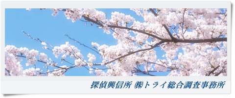 トライ総合調査事務所 大阪府 東大阪市の風景写真