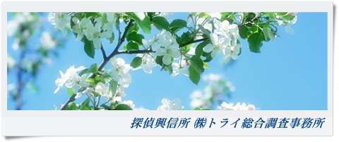 トライ総合調査事務所 大阪府 貝塚市の風景写真
