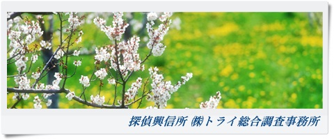 トライ総合調査事務所 大阪府 泉佐野市の風景写真