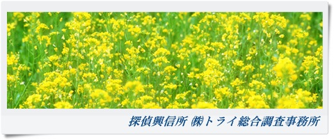 トライ総合調査事務所 関西 和歌山県の風景写真