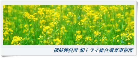 トライ総合調査事務所 兵庫県 姫路市の風景写真
