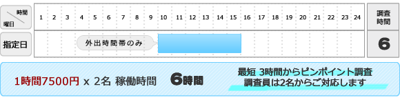 スポット調査プラン:1日数時間たけの単発調査(最短3時間からピンポイント調査。調査員は2名からご対応します)