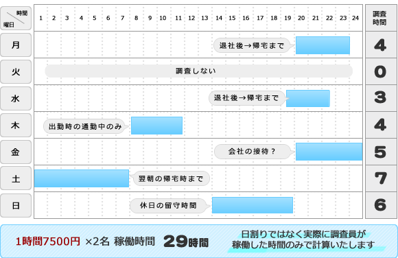 スタンダード調査プラン:1日数時間で数日に渡って行う調査(日割りではなく実際に調査員が稼働した時間のみで計算いたします。)