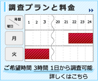 調査プランと料金 ご希望時間3時間 1日から調査可能