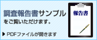 調査報告書サンプルをご覧いただけます。PDFファイルが開きます